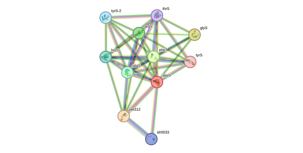 STRING protein interaction network