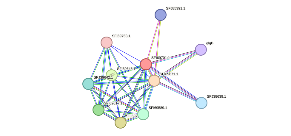 STRING protein interaction network