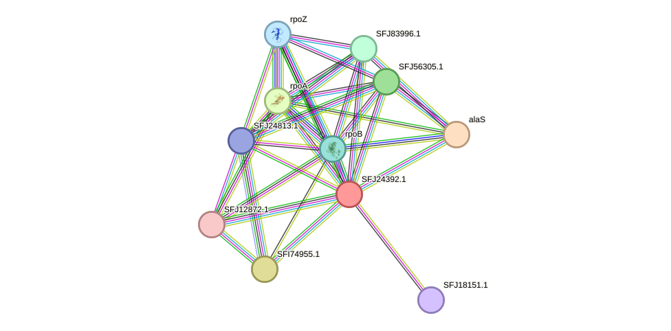 STRING protein interaction network