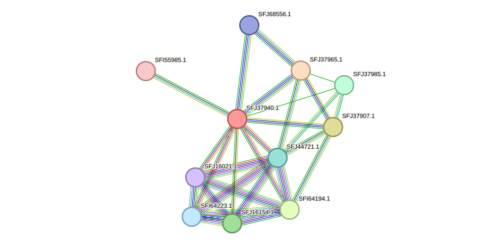 STRING protein interaction network