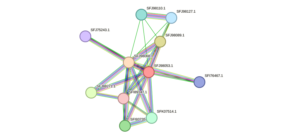 STRING protein interaction network