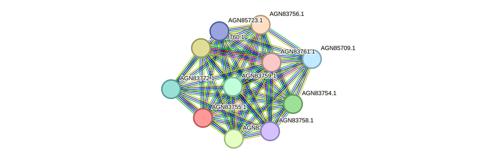 STRING protein interaction network