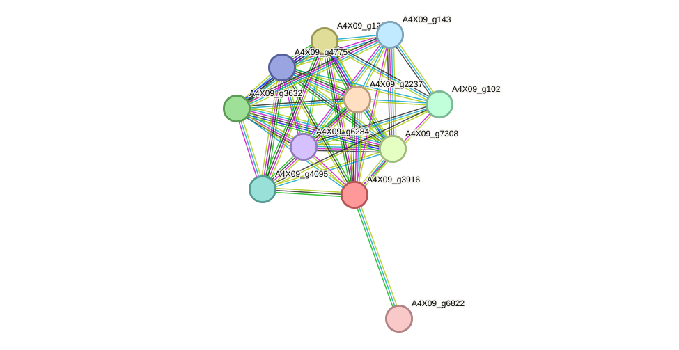 STRING protein interaction network