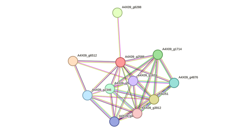 STRING protein interaction network