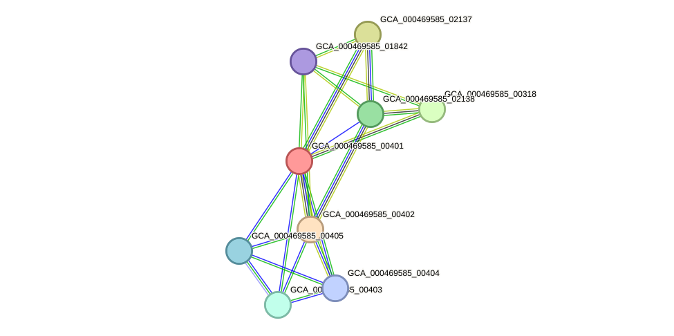 STRING protein interaction network