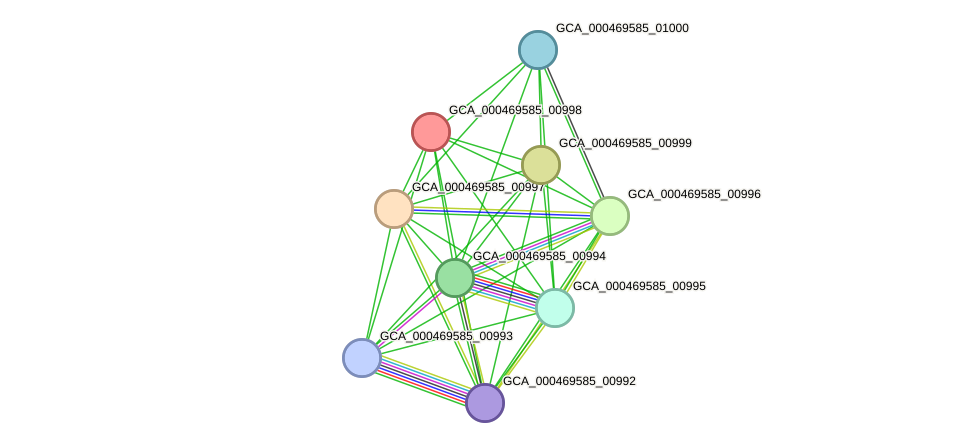 STRING protein interaction network