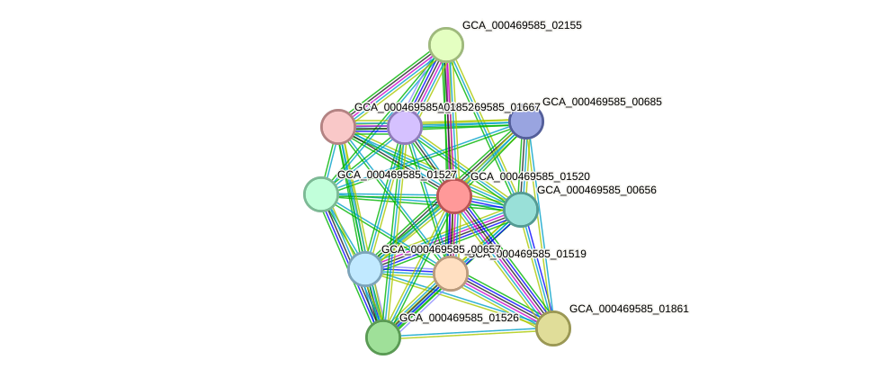 STRING protein interaction network