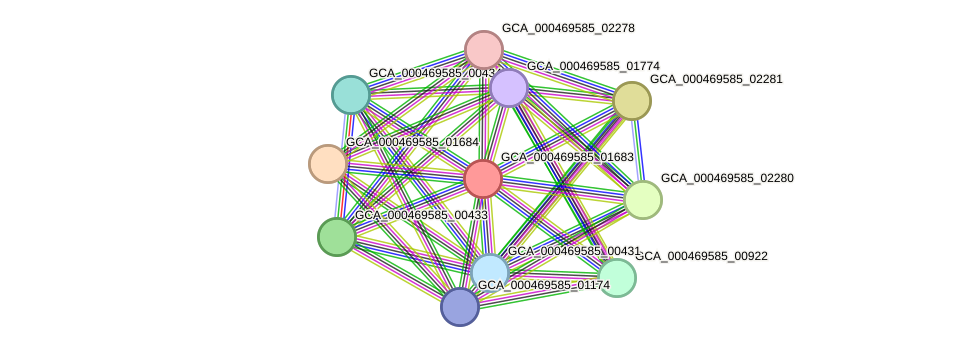 STRING protein interaction network