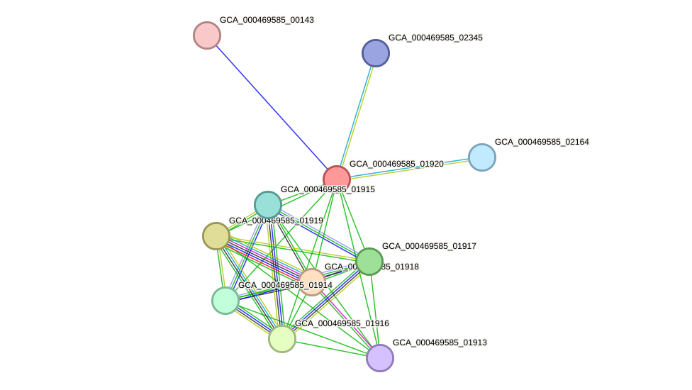 STRING protein interaction network