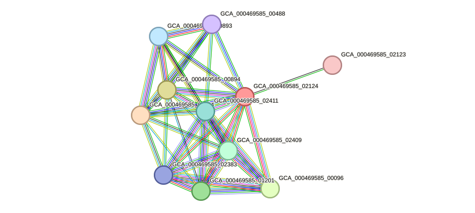 STRING protein interaction network