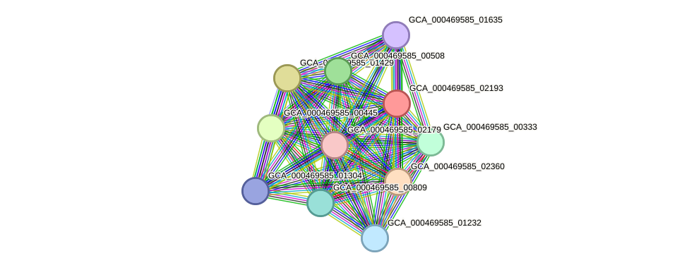 STRING protein interaction network