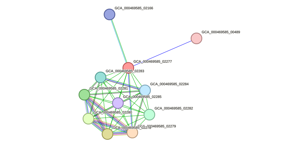 STRING protein interaction network