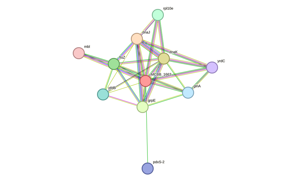 STRING protein interaction network