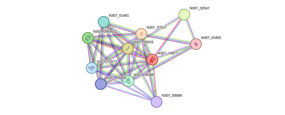 STRING protein interaction network