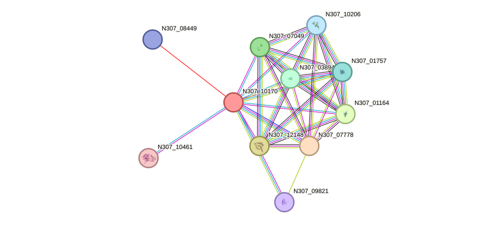 STRING protein interaction network