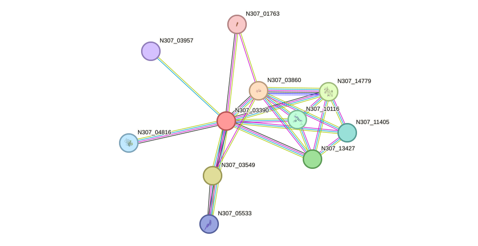 STRING protein interaction network