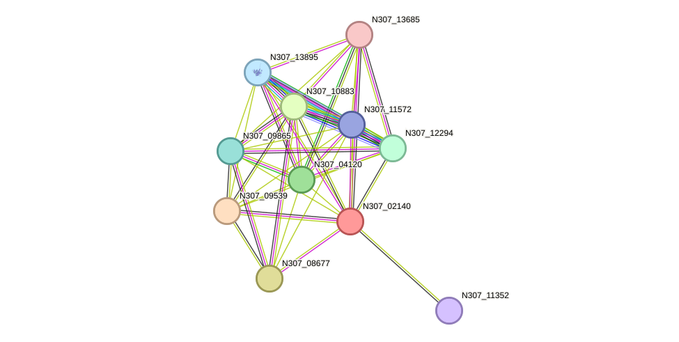 STRING protein interaction network