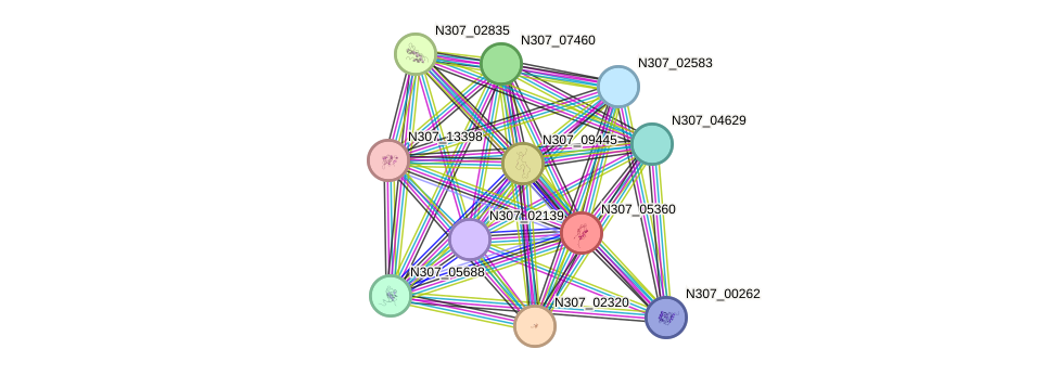 STRING protein interaction network