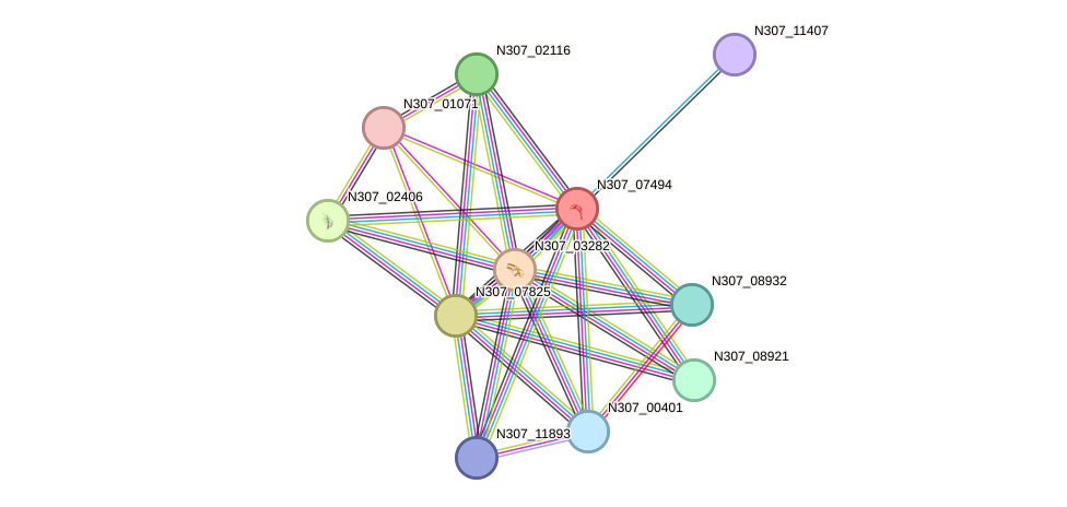 STRING protein interaction network