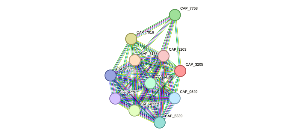 STRING protein interaction network