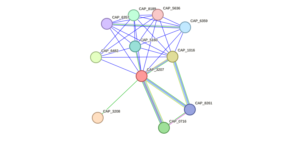 STRING protein interaction network