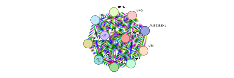 STRING protein interaction network