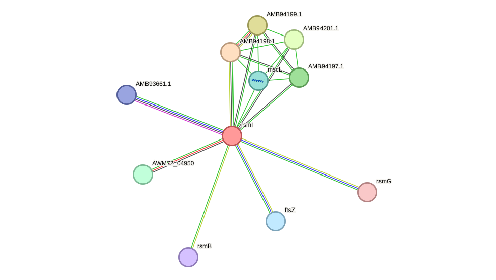 STRING protein interaction network