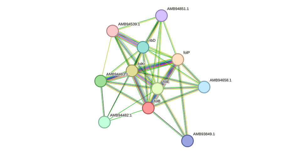 STRING protein interaction network