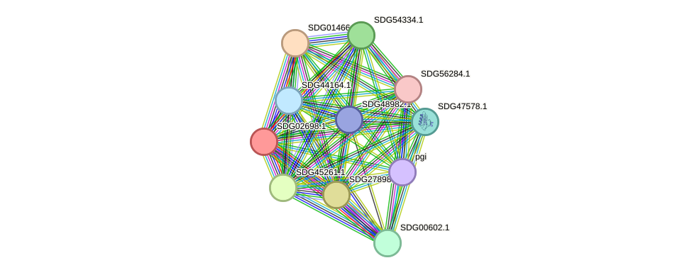 STRING protein interaction network