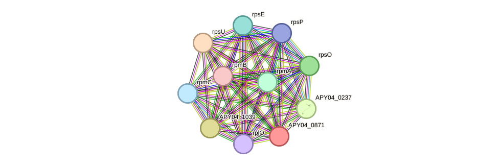 STRING protein interaction network