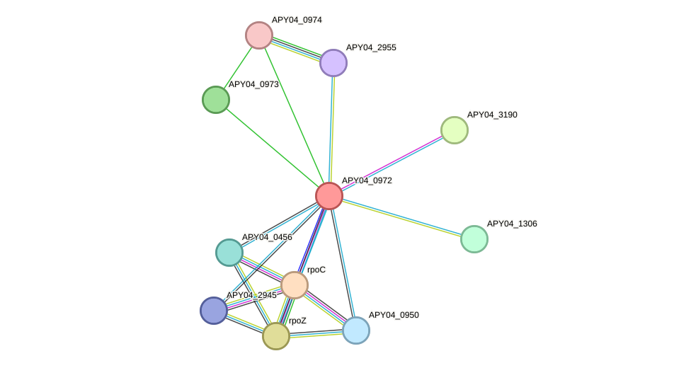 STRING protein interaction network