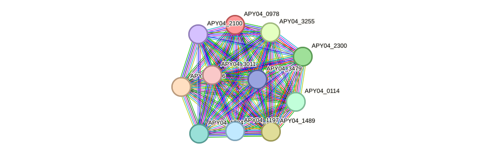 STRING protein interaction network