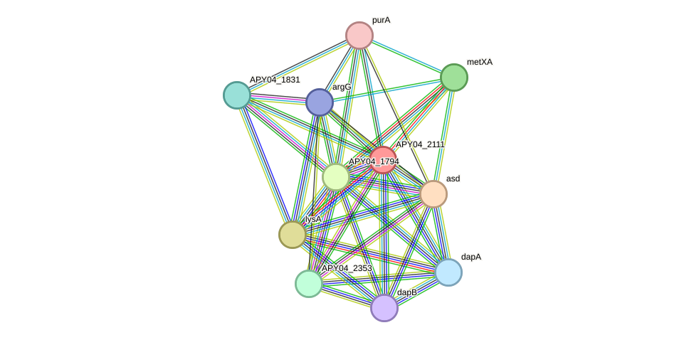 STRING protein interaction network