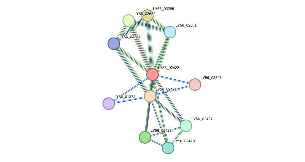 STRING protein interaction network