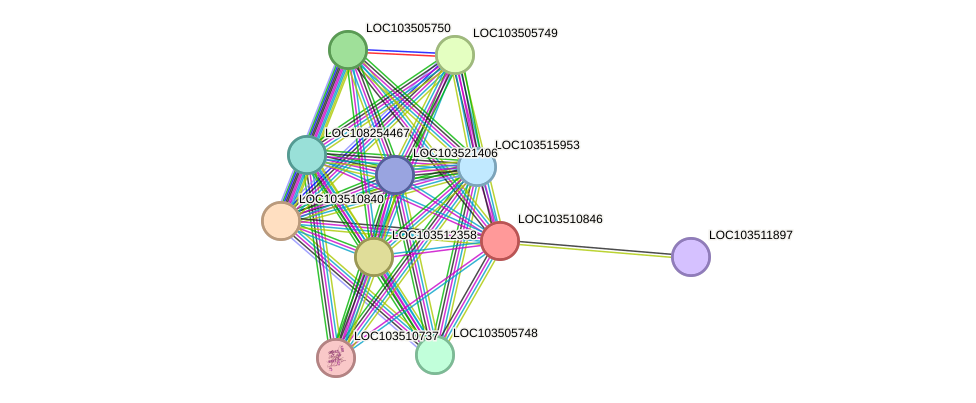 STRING protein interaction network