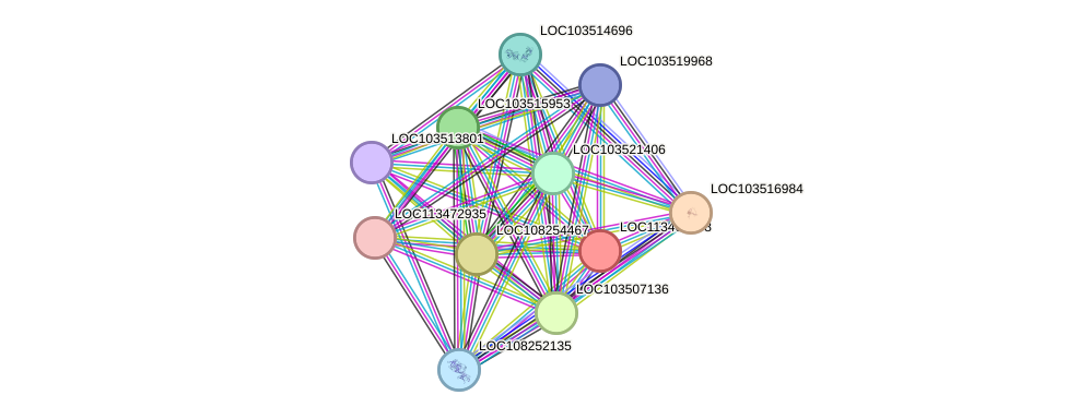 STRING protein interaction network