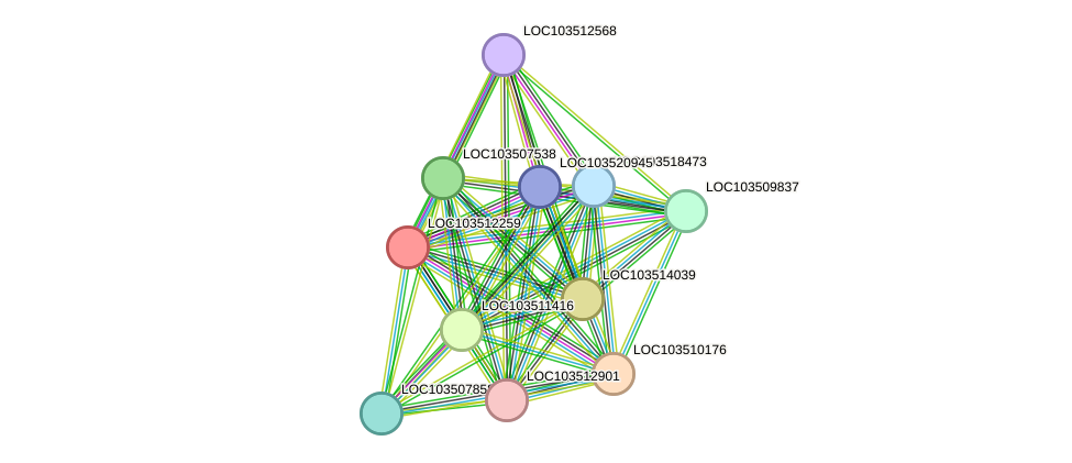 STRING protein interaction network