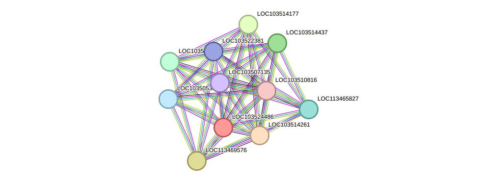 STRING protein interaction network