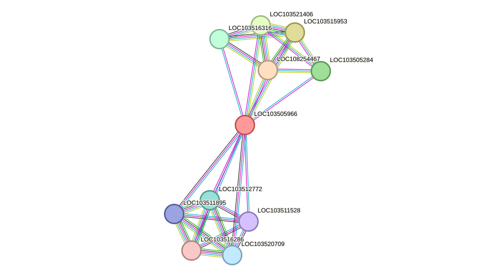 STRING protein interaction network