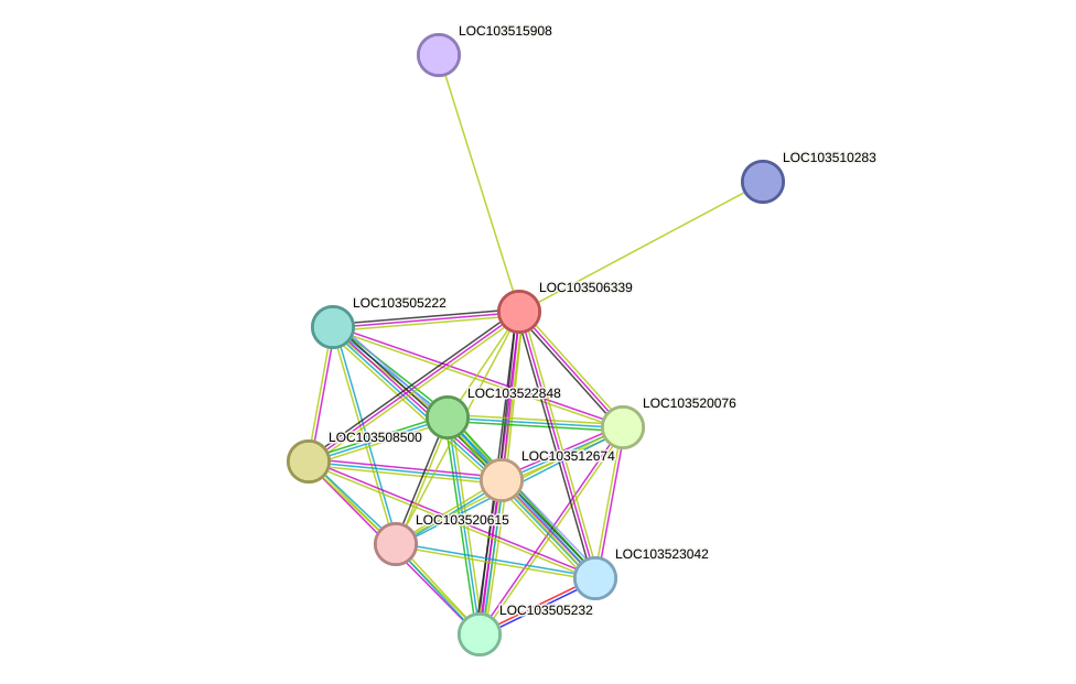 STRING protein interaction network