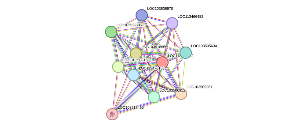 STRING protein interaction network