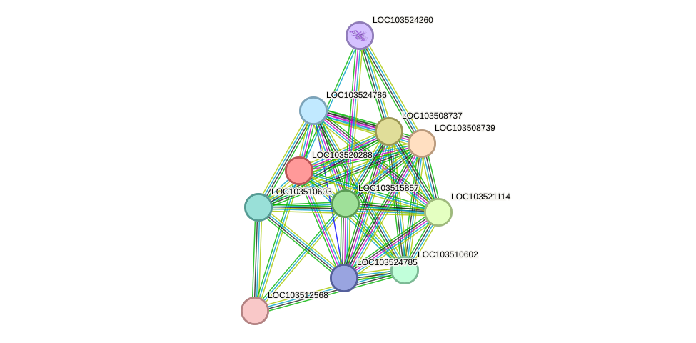 STRING protein interaction network