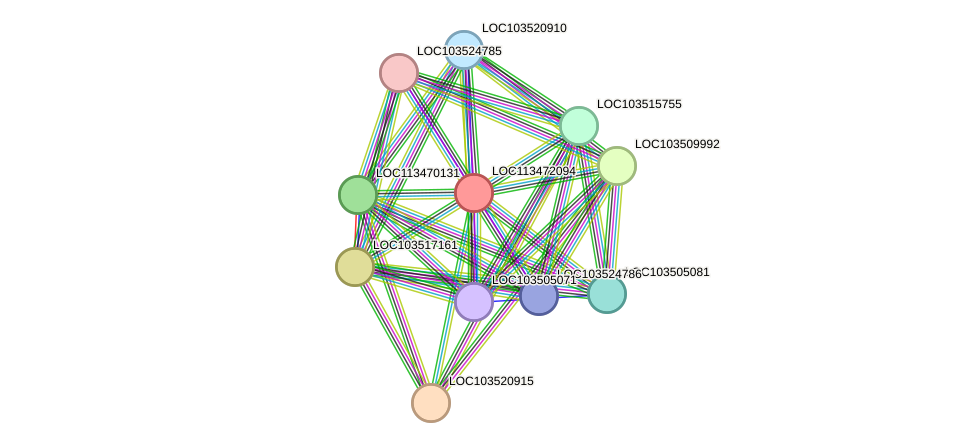 STRING protein interaction network