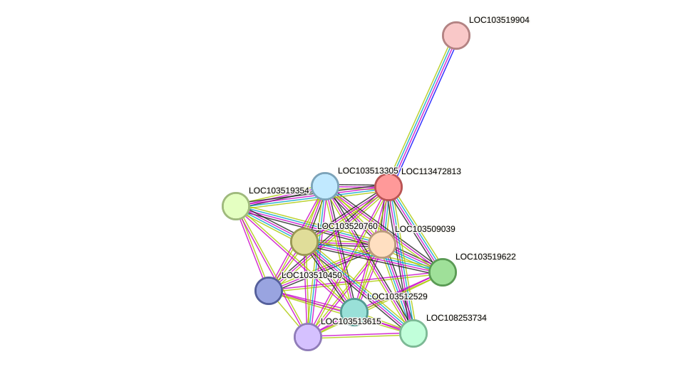 STRING protein interaction network