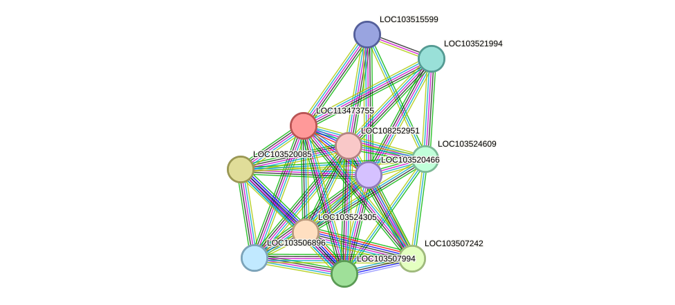 STRING protein interaction network