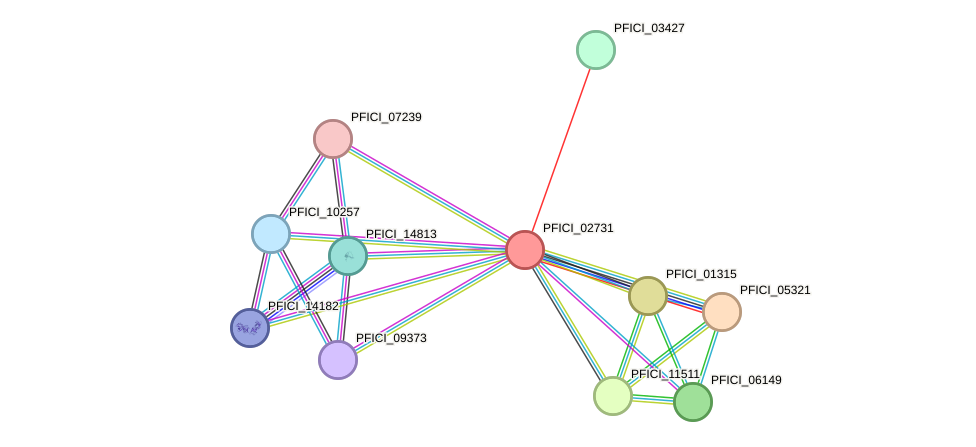 STRING protein interaction network