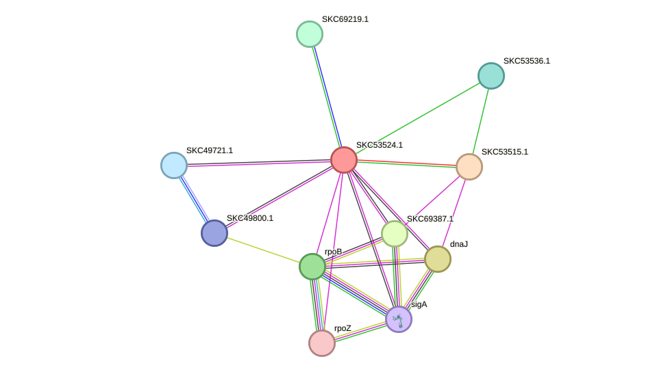 STRING protein interaction network