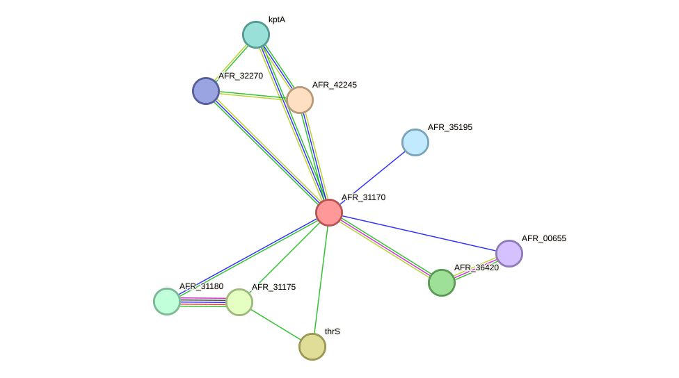 STRING protein interaction network