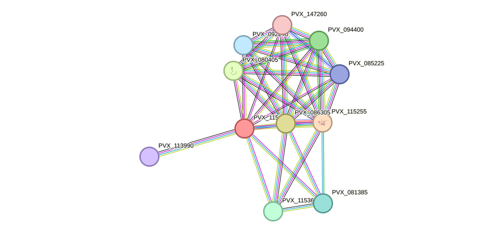 STRING protein interaction network