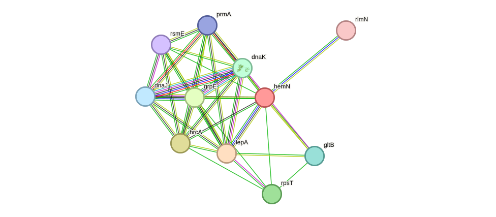 STRING protein interaction network